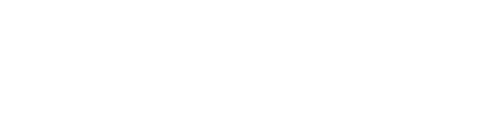 Logo playnet