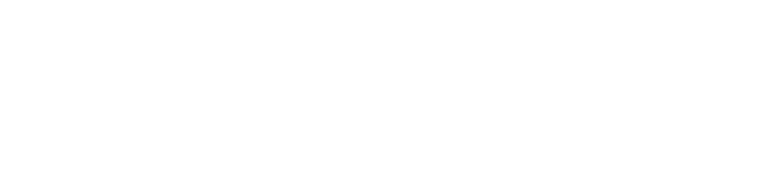 Logo Top Net